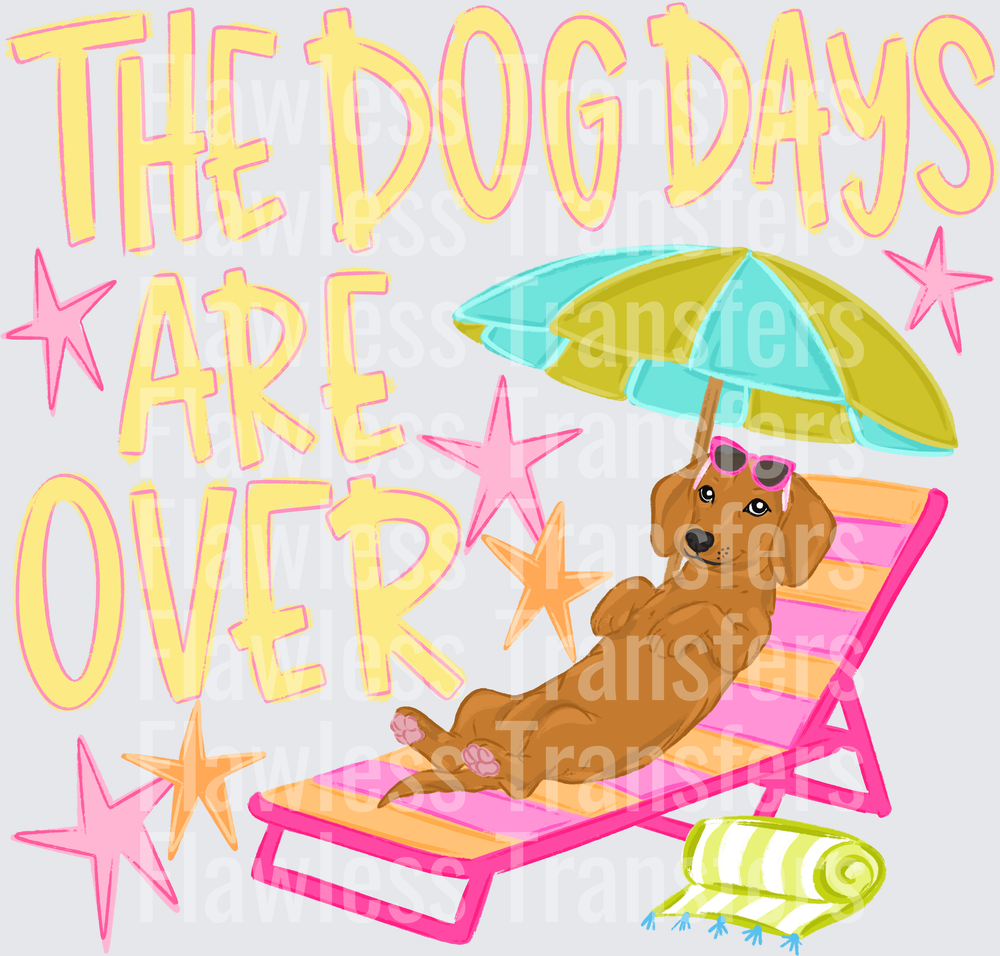 the dog days are over #4282