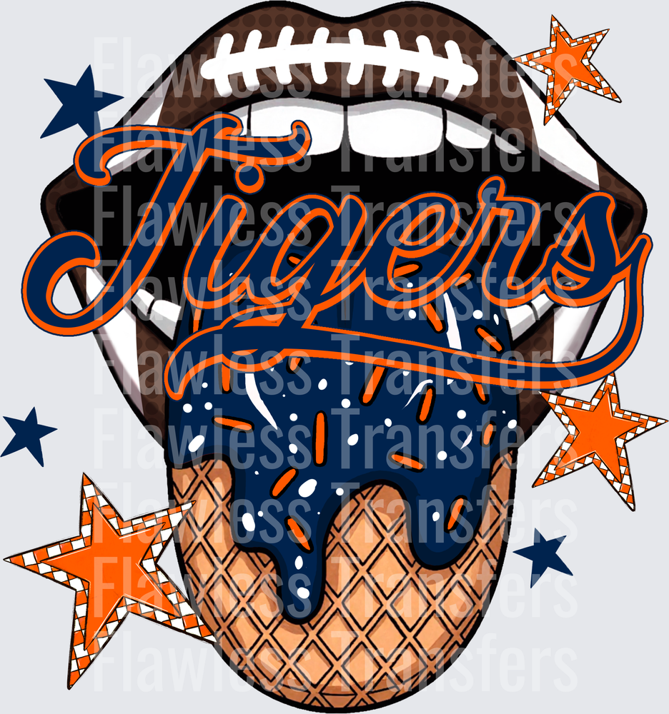 Auburn Tigers #3055