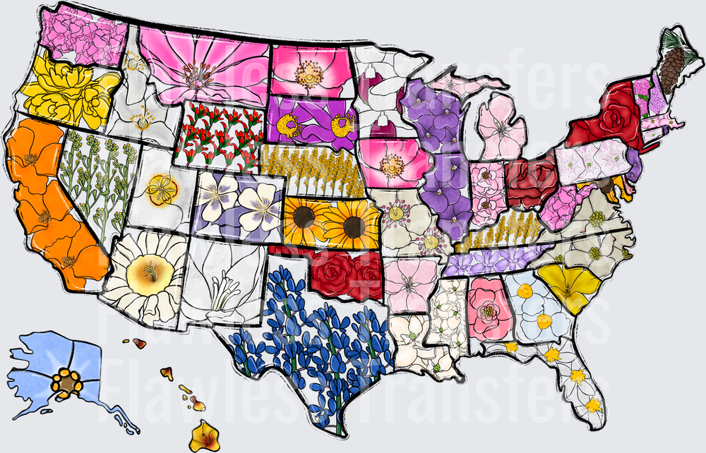 Whimsy America Flower Map NO WORDS #0988