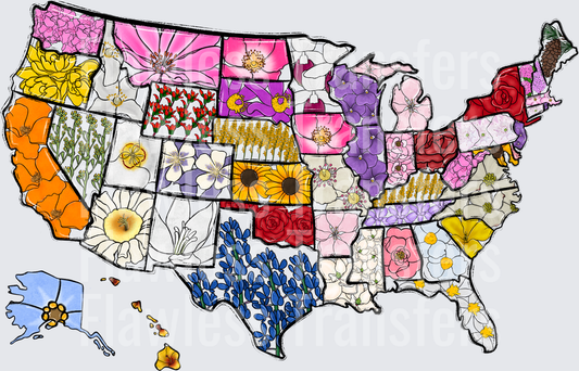 Whimsy America Flower Map NO WORDS #0988