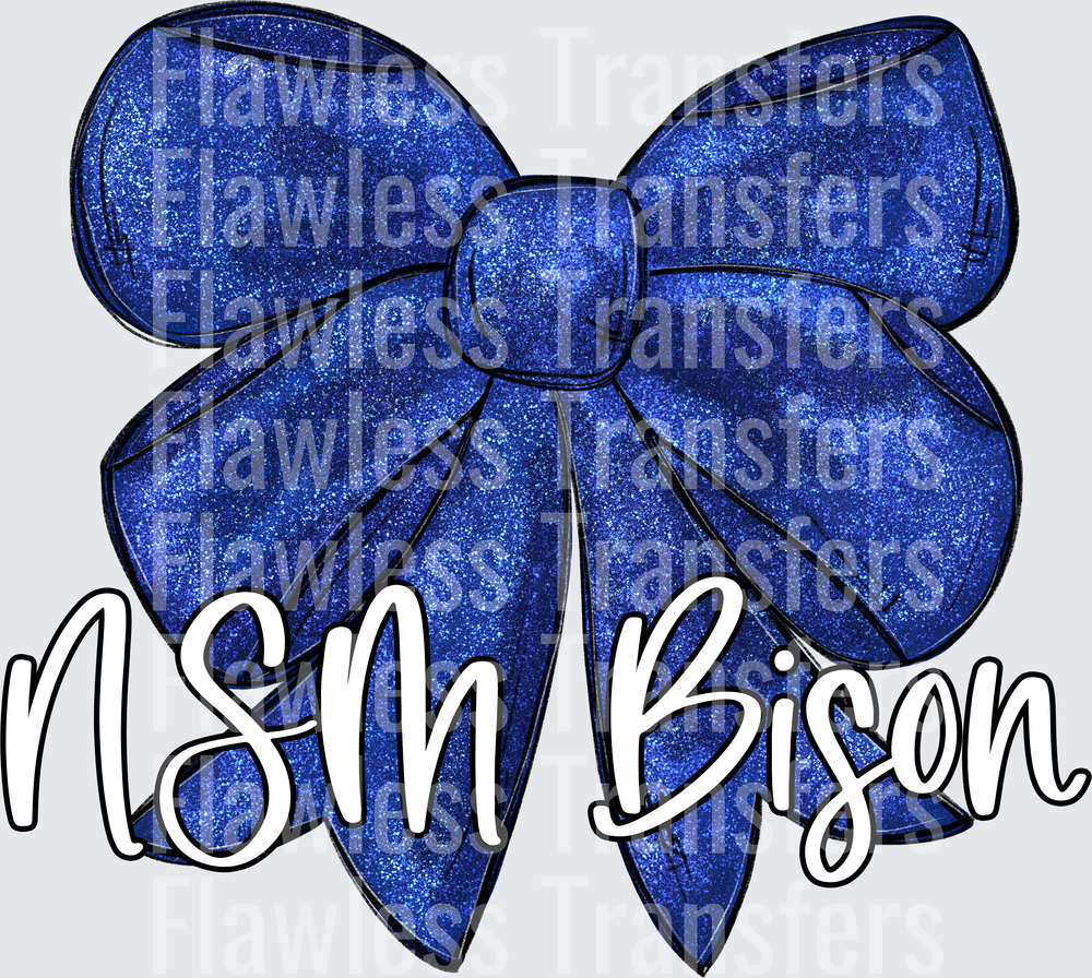 NSM Bison #2419
